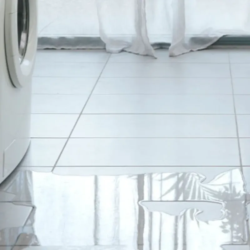 Appliance Leak Cleanup in Pittsburg, TX