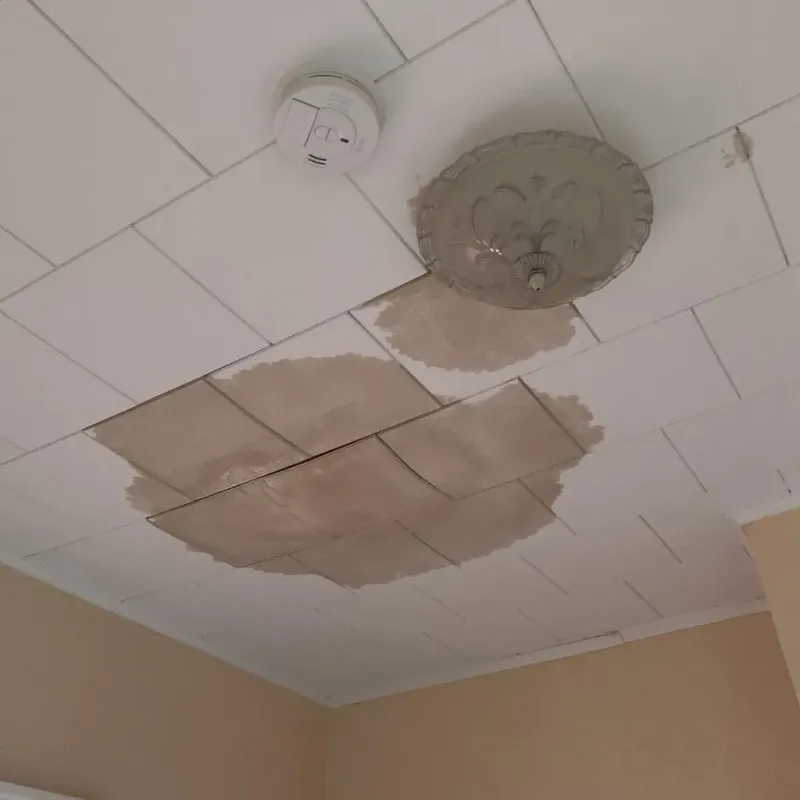 Ceiling Water Damage Repair in Pittsburg, TX