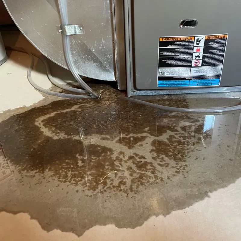 Pipe Burst and Leak Restoration in Pittsburg, TX