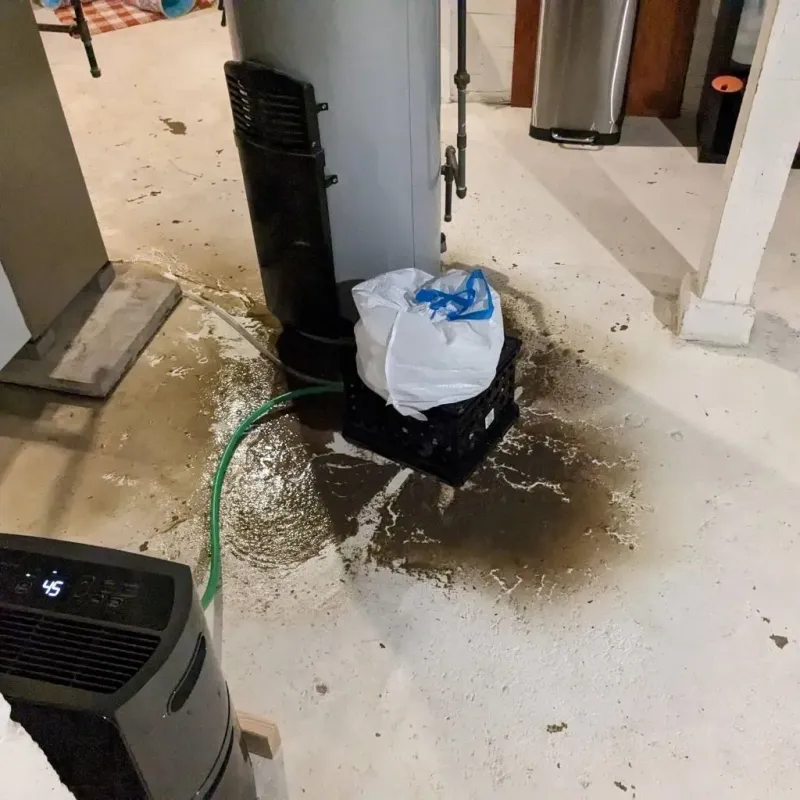 Sewage Backup Cleanup Service in Pittsburg, TX